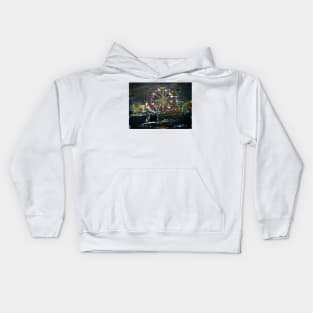 The Fair Kids Hoodie